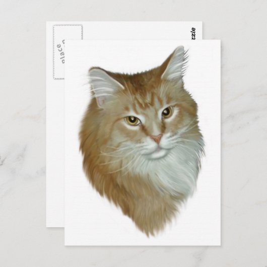Red Tabby Maine Coon Briefkaart (Voorkant / Achterkant)