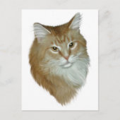 Red Tabby Maine Coon Briefkaart (Voorkant)