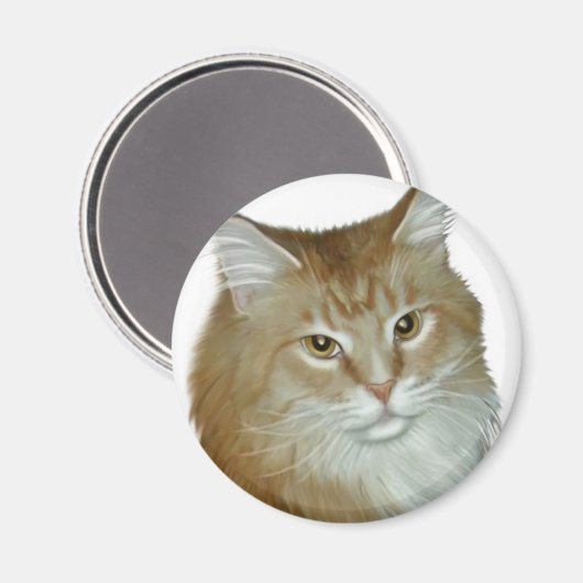 Red Tabby Maine Coon Magneet (Voorkant / Achterkant)