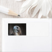 Red Tail Hawk adresetiketten Etiket (Insitu)