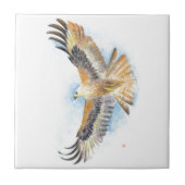 Red Tail Hawk Art Tegeltje (Voorkant)