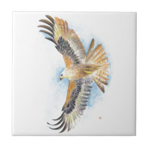 Red Tail Hawk Art Tegeltje