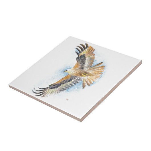 Red Tail Hawk Art Tegeltje (Zijkant)