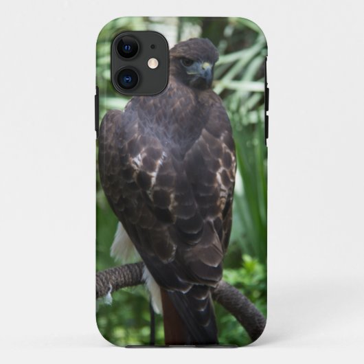 Red Tail Hawk Bird Case-Mate iPhone Case (Achterkant)