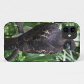 Red Tail Hawk Bird Case-Mate iPhone Case (Achterkant (horizontaal))