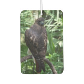 Red Tail Hawk Bird Luchtverfrisser (Voorkant)