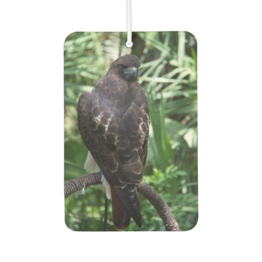 Red Tail Hawk Bird Luchtverfrisser (Voorkant)