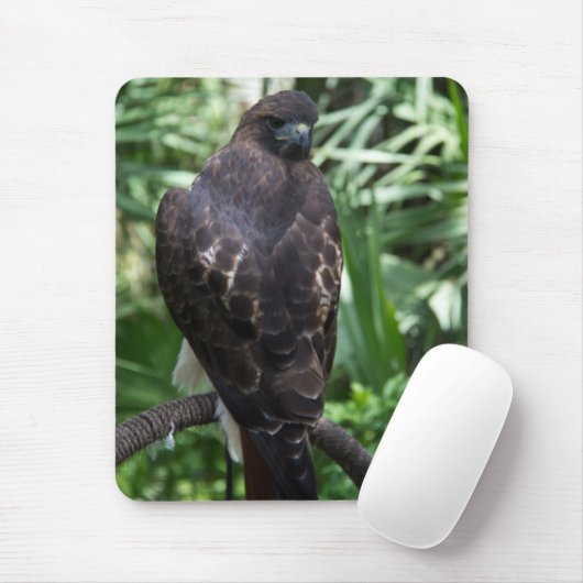 Red Tail Hawk Bird Mousepad Muismat (Met muis)