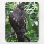 Red Tail Hawk Bird Mousepad Muismat (Voorkant)