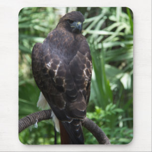 Red Tail Hawk Bird Mousepad Muismat