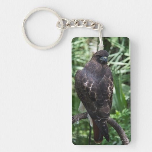 Red Tail Hawk Bird Sleutelhanger (Voorkant)