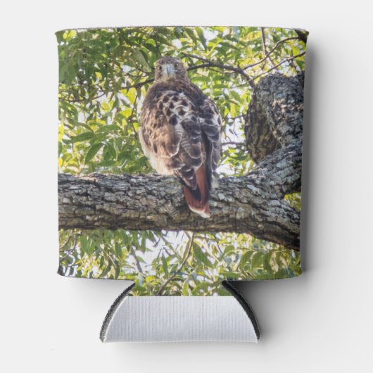 Red Tail Hawk Blikjeskoeler (Voorkant)