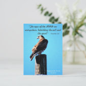 Red Tail Hawk - Briefkaart - spreekwoorden 15:3 (Staand voorkant)