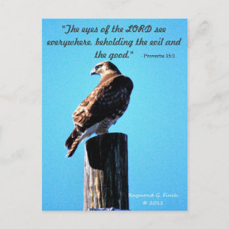 Red Tail Hawk - Briefkaart - spreekwoorden 15:3