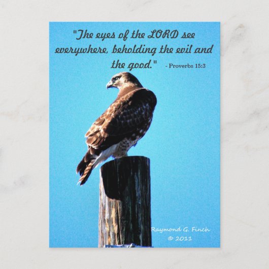 Red Tail Hawk - Briefkaart - spreekwoorden 15:3 (Voorkant)