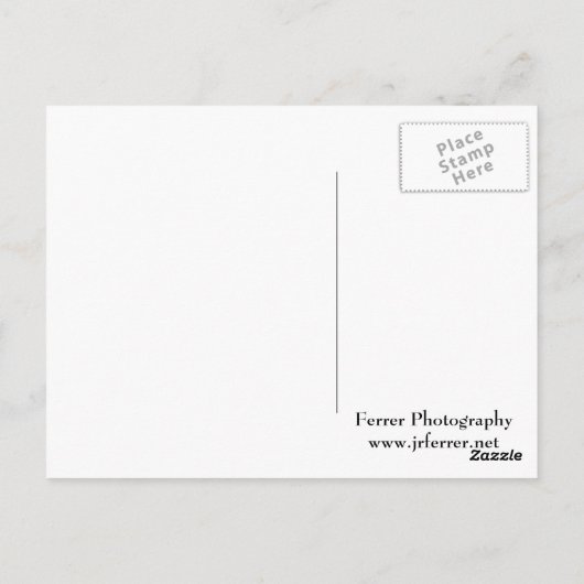 Red Tail Hawk Closeup Briefkaart (Achterkant)