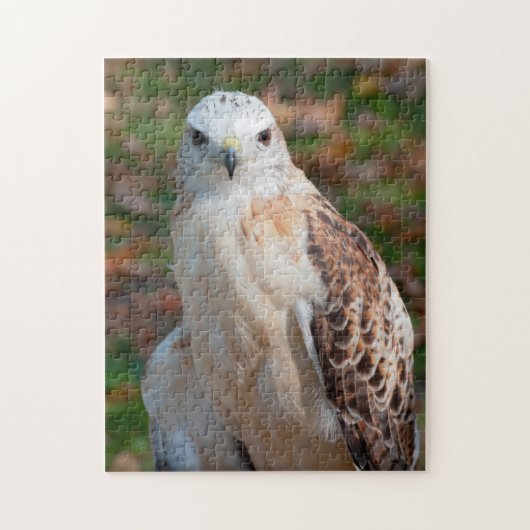 Red Tail Hawk Closeup Legpuzzel (Verticaal)