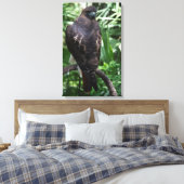 Red Tail Hawk Fotobehang Ingepakt Canvas (Insitu (Slaapkamer))