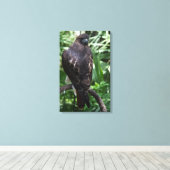Red Tail Hawk Fotobehang Ingepakt Canvas Afdruk (Insitu (Houten vloer))
