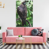 Red Tail Hawk Fotobehang Ingepakt Canvas Afdruk (Insitu (Woonkamer))