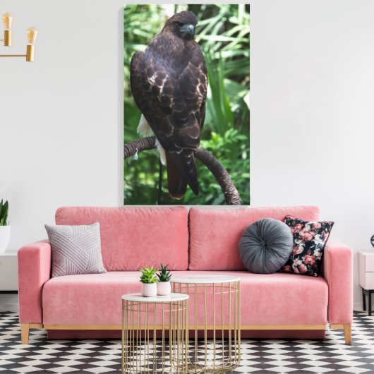 Red Tail Hawk Fotobehang Ingepakt Canvas Afdruk (Insitu (Woonkamer))
