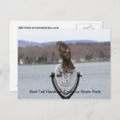 Red Tail Hawk in het staatspark van Codorus Briefkaart (Voorkant / Achterkant)
