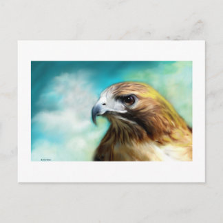 Red Tail Hawk-kaart Briefkaart