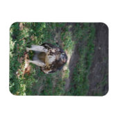 Red Tail Hawk Magneet (Horizontaal)