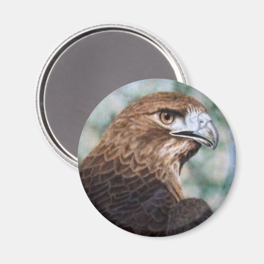 Red-tail Hawk Magnet (Voorkant / Achterkant)
