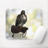 Red-tail Hawk op handschoen Muismat (Met muis)