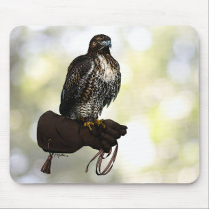 Red-tail Hawk op handschoen Muismat