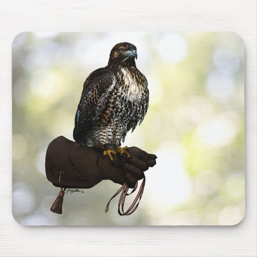 Red-tail Hawk op handschoen Muismat (Voorkant)