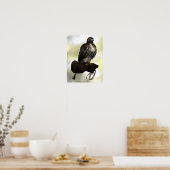 Red-tail Hawk op handschoen Poster (Keuken)