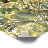 Red-tail Hawk Poster (Hoek)