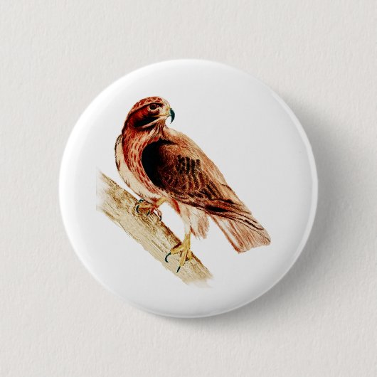 Red Tail Hawk Ronde Button 5,7 Cm (Voorkant)