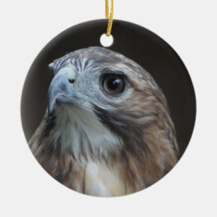 Red Tail Hawk-sierplant Keramisch Ornament