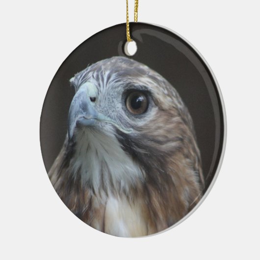 Red Tail Hawk-sierplant Keramisch Ornament (Links)