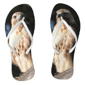 Red Tail Hawk Teenslippers (Voetbed)