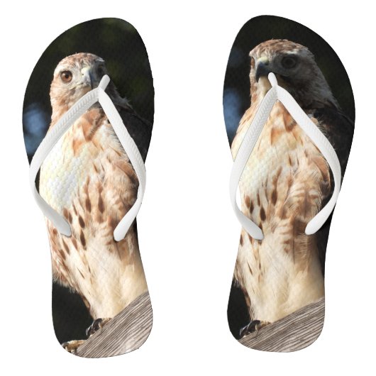 Red Tail Hawk Teenslippers (Voetbed)