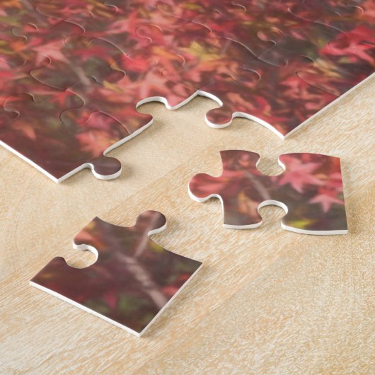 RED TAIL HAWK TOUCHDOWN LEGPUZZEL (Zijkant)