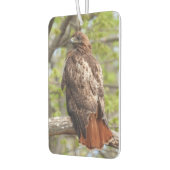 Red Tail Hawk - vogel van Prey Luchtverfrisser (Links)