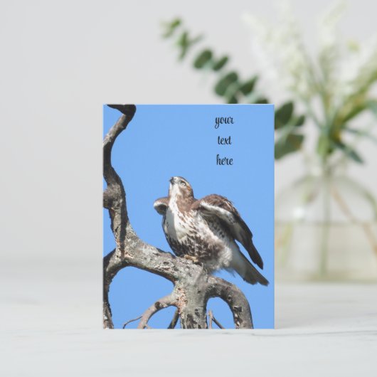 Red Tail Hawk, vogel van proy Briefkaart (Staand voorkant)