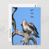 Red Tail Hawk, vogel van proy Briefkaart (Voorkant / Achterkant)