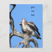 Red Tail Hawk, vogel van proy Briefkaart (Voorkant)