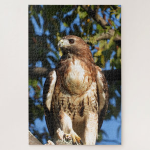 Red Tail Hawk, vogel van proy Legpuzzel