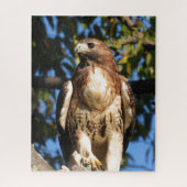 Red Tail Hawk, vogel van proy Legpuzzel (Verticaal)