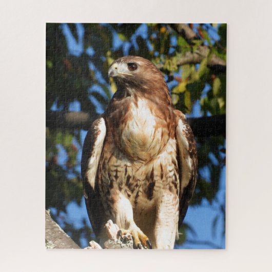 Red Tail Hawk, vogel van proy Legpuzzel (Verticaal)