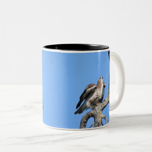 Red Tail Hawk, vogel van proy Tweekleurige Koffiemok (Voorkant rechts)