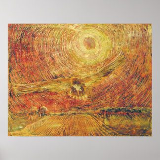 Red Tail Hawk - Wind Poster