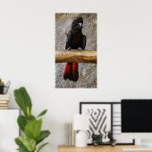Red Tailed Black Cockatkato-Poster Poster (Thuiskantoor)